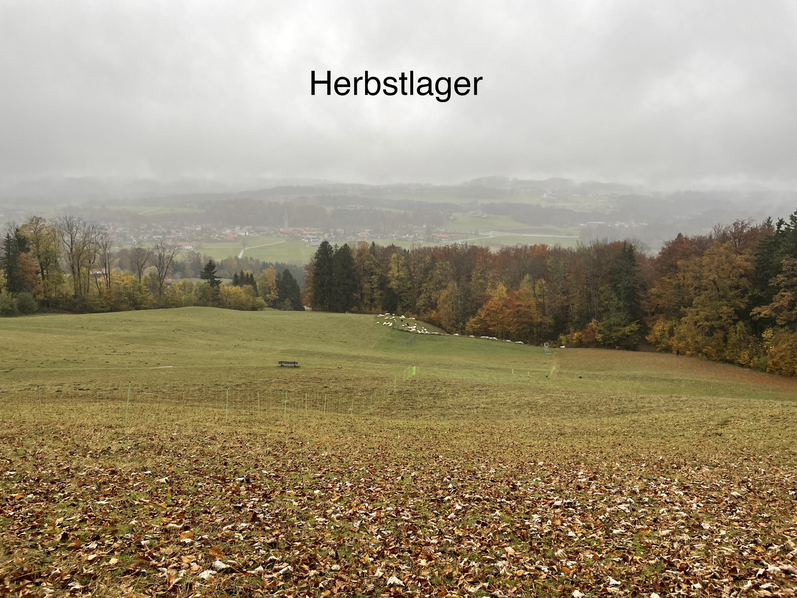 Herbstlager_Flibbox